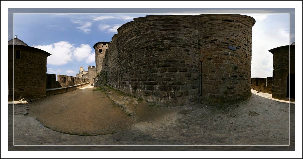 Carcassonne 5