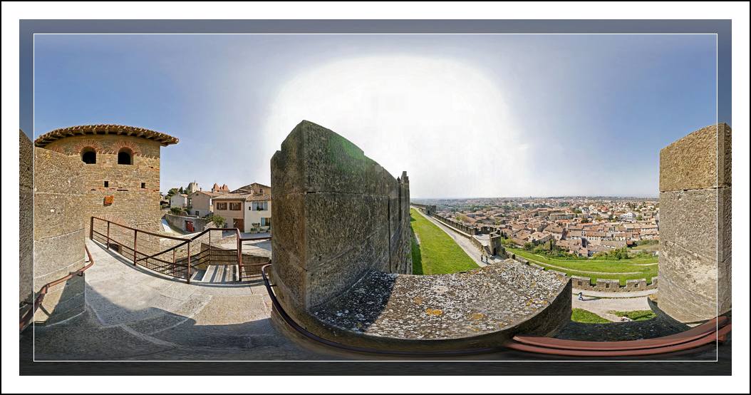 Carcassonne 8