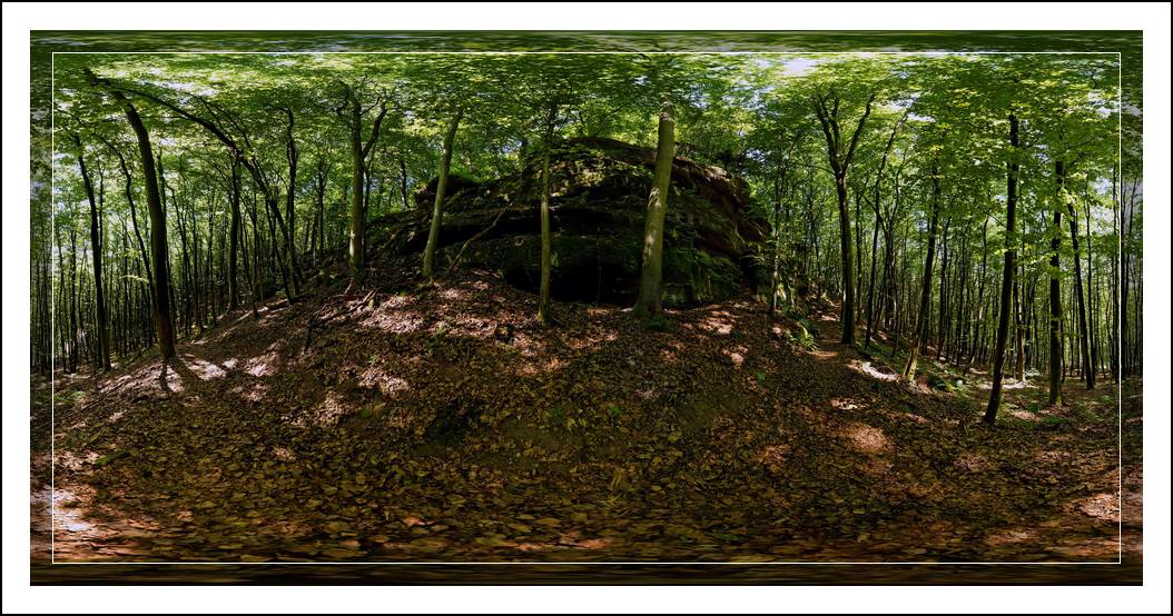 Dabo - Forêt